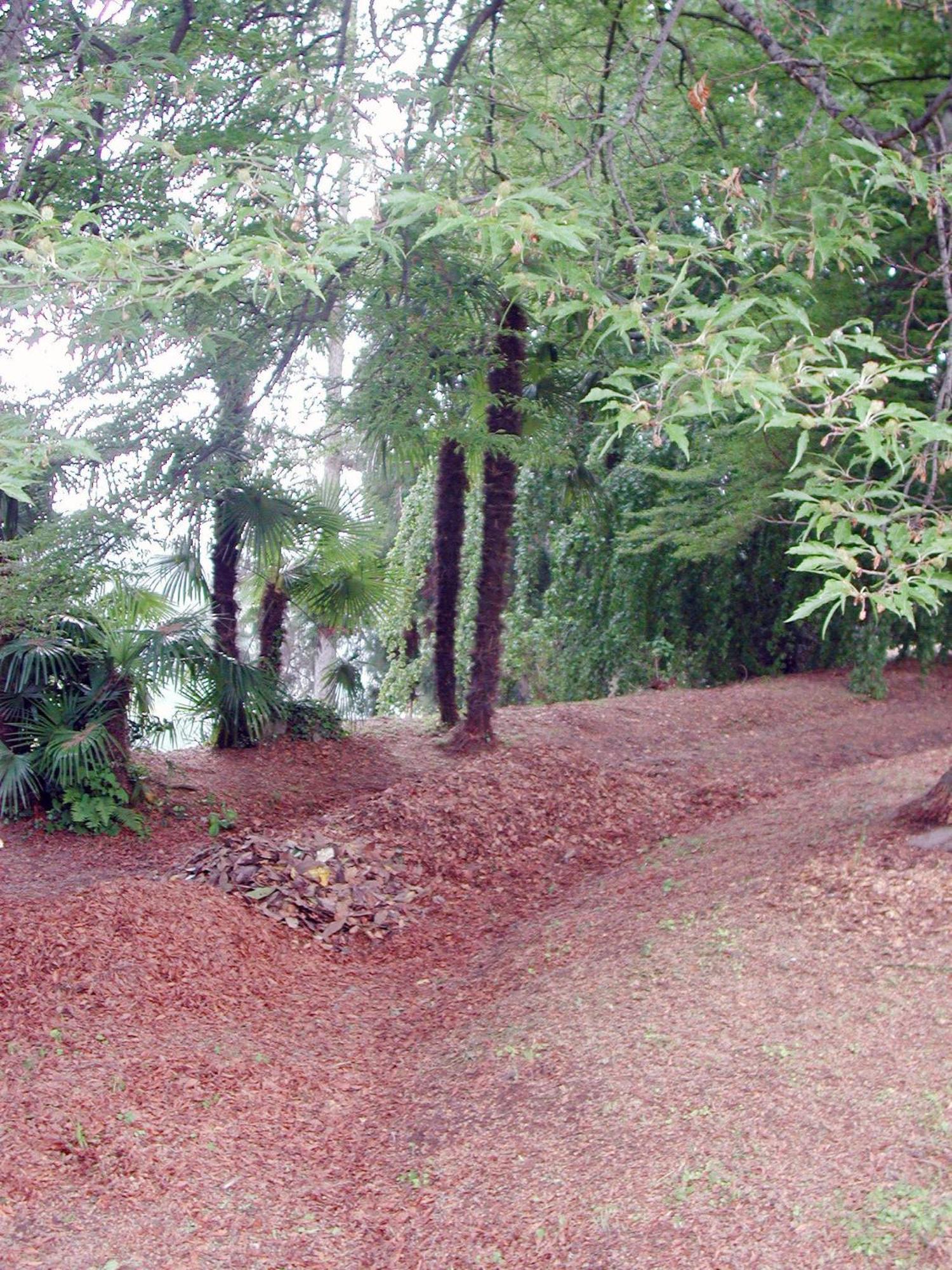 Sordevolo B&B Villa Cernigliaro Dimora Storica מראה חיצוני תמונה